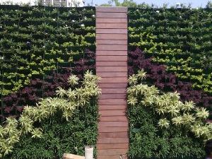 VERTICAL WALL GARDENING