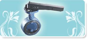 Butterfly Valve