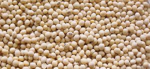 Soybean Seed