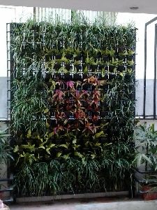 Vertical Garden Wall