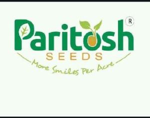 Hy Castor seed