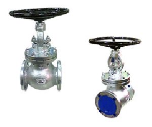 Globe Valve