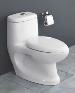 Classic One Piece Water Closet