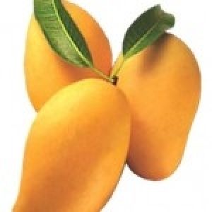 Mangoes