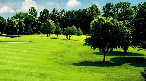 Soil Conditioner Amendments for Golf Courses & Sports Turfs