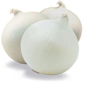 White Onion