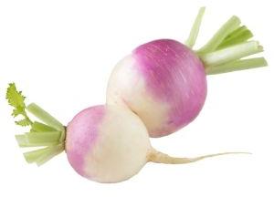 Turnip