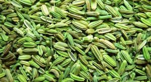 Fennel Seeds