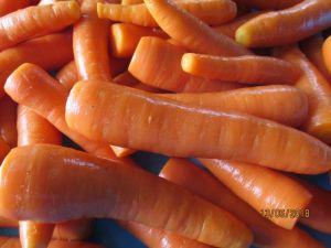 Processed Carrots