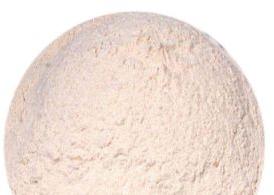 White Psyllium Powder