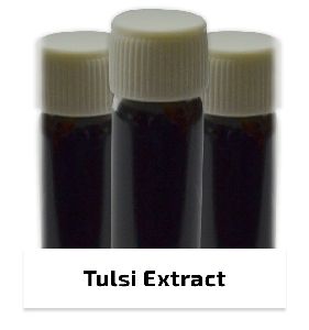 Indian Holy Basil -Tulsi Extract