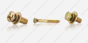 Customized Head Shape Screw