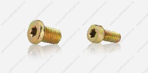 Torx Head Screw