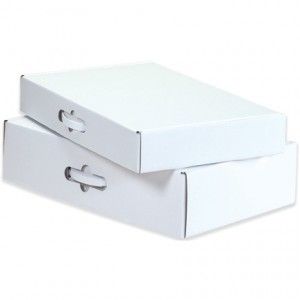 Suitcase box - Die Punched Carton