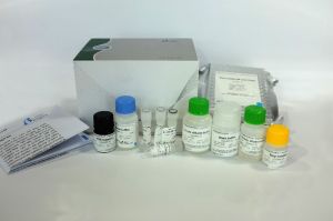 Elisa Kits