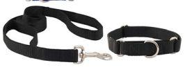 Nylon Collar Leash Set