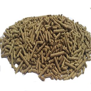 Dairy Special FISH FEED