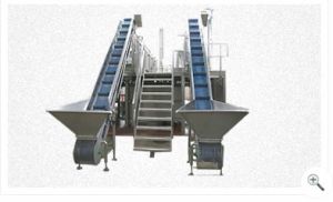 Processing Conveyor