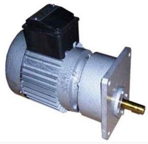 Gear Motor