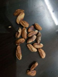 Neem Seeds