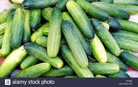 cucumber (Organic)