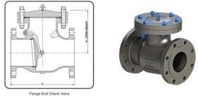 Check Valve