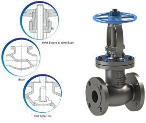 Globe Valves