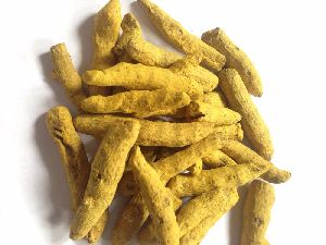 turmeric curcumin