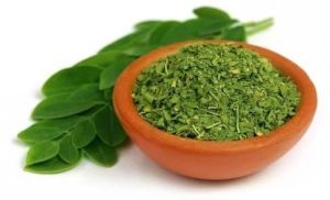 Moringa Dry Leaves