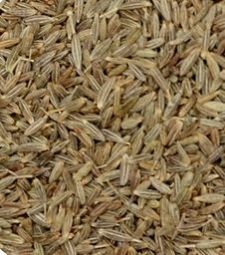 Europe Quality Cumin Seeds