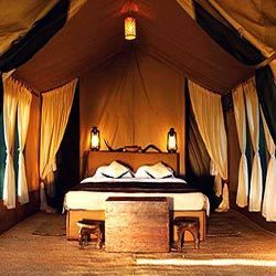 Wooden Platform Tents