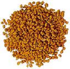 Fenugreek Seeds