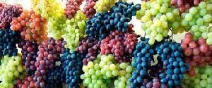 Fresh Grapes