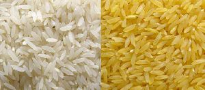 Parmal Sella Non Basmati Rice