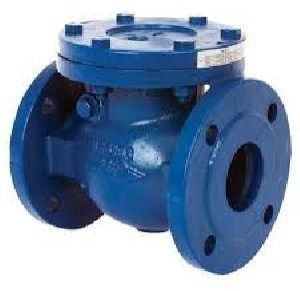 Check Valve