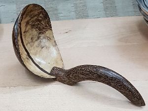 Coconut spoon