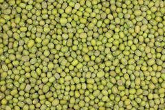 Green Millets