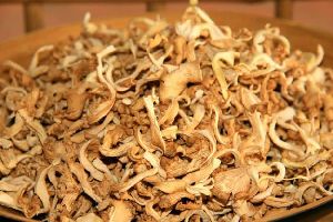 Fresh dry oyster mushroom