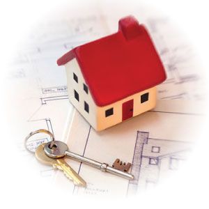 Property Problem Services