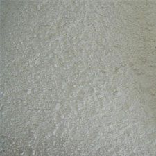 Dehydrated White Onion Powder