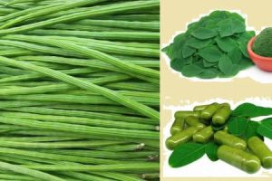 Moringa