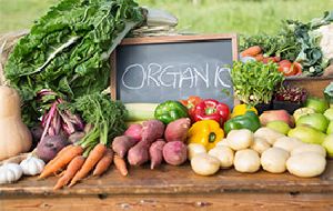 Organic Fruits and Vegetables