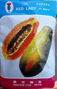 red lady f1 hybrid papaya seeds