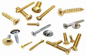 Brass Screws