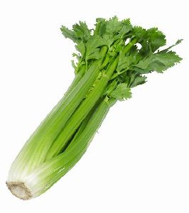 Celery Patta