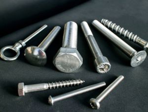 Stainless Steel Fastener