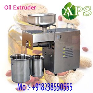 Garlic Oil Machine