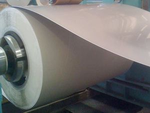 Stainless Steel Coil