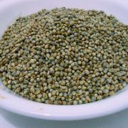 Pearl Millet