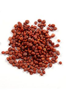 HASIRU RADISH SEEDS white